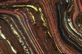 Polished Tiger Iron Stromatolite - ( Billion Years) #72900-1